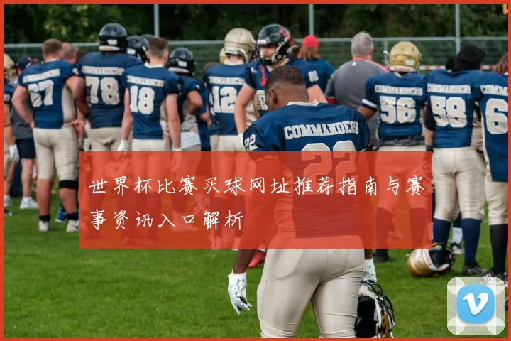 世界杯比赛买球网址推荐指南与赛事资讯入口解析