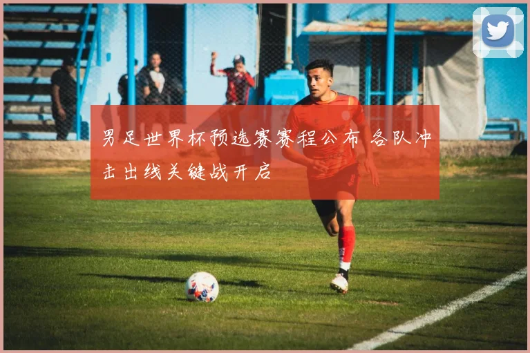 男足世界杯预选赛赛程公布 各队冲击出线关键战开启