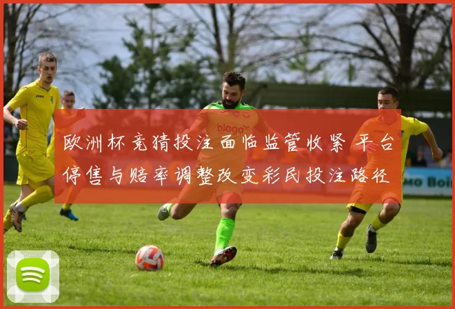 欧洲杯竞猜投注面临监管收紧 平台停售与赔率调整改变彩民投注路径