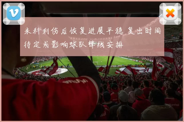 米科利伤后恢复进展平稳 复出时间待定或影响球队锋线安排