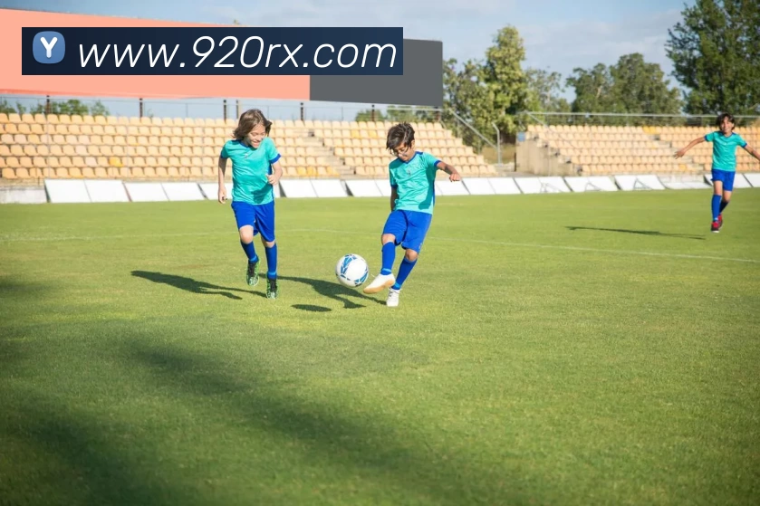 新爱体育在线平台 - 新爱体育在线官网服务体系